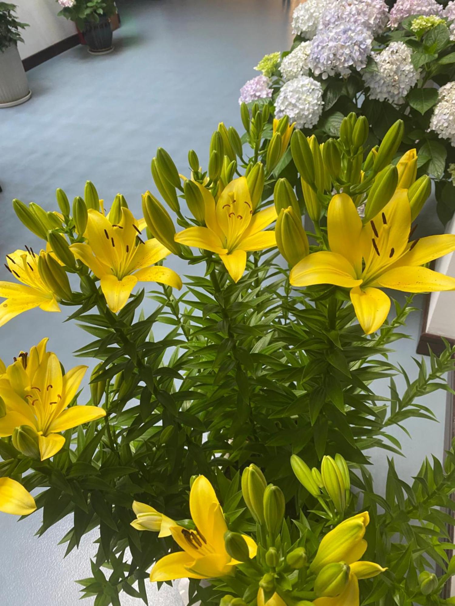 Zhangjiajie Borui Hotel - Tianmen Mountain מראה חיצוני תמונה